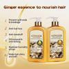Ginger Hair Care Set, Shampoo and Conditioner with Ginger Extract, 800ml Each, Scalp Care and Nourishing Formula view 4