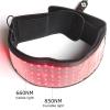 660nm 850nm Therapy Belt LED Red Light Infrared Light Beauty Salon Pulse Therapy Device view 2