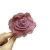 Chiffon Flower Rose Camellia Hair Clip Holiday Seaside Hairpin For Women And Girls(Beanpaste) view 2