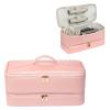 GENCAM Double-Layer Carrying Case for Shark Flexstyle, Travel Case for Shark Flexstyle/FlexFusion, Portable Storage Organizer bag for Shark Flexstyle/Dyson Airwrap Styler and Attachments (Rose Pink) view 1