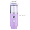 AUTSUPPL USB Facial Steamer Mist Spray Capacity Instant Moisturizer for Fresh Skin view 3