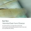 BAD SKIN Artemisia Paste-Form Cleanser 100ml Made in Korea Mugwort foam cleanser daily cleansing foam view 2