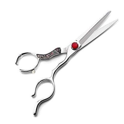 6.0 Inch Professional Hair Cutting Scissors, Stainless Steel Razor Edge Shears for Salon & Home Use, Barber Haircutting Shears for Men & Women