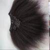 100% Brazilian Human Hair Afro Kinky Curly Clip in Hair Extension Remy Clip In Hair Clip ins 100g 7pcs for Black Woman Natural Color (7PCSAfro Kinky Curly, 20inch) view 3