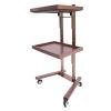 Salon Tray on Wheels, 2 Tier Foldable Salon Trolley Cart, Stainless Steel Rolling Tray, Storage Cart for Bathroom, Bedroom, Tattoo Shop (Rose-Gold) view 1