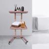 Salon Tray on Wheels, 2 Tier Foldable Salon Trolley Cart, Stainless Steel Rolling Tray, Storage Cart for Bathroom, Bedroom, Tattoo Shop (Rose-Gold) view 2