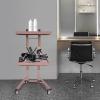 Salon Tray on Wheels, 2 Tier Foldable Salon Trolley Cart, Stainless Steel Rolling Tray, Storage Cart for Bathroom, Bedroom, Tattoo Shop (Rose-Gold) view 3