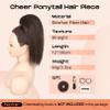 SEIKEA Cheer Ponytail Hair Piece, 10" Straight Tangle-Resistant Smooth Natural Cheerleader Hairpiece Ponytail Extension for Cheer Competition, Dance Black Brown with Dark Brown Highlights view 2
