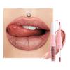 evpct Bronze Gold Metallic Glitter Lip Liner and Lipstick Combo Lip Gloss Stain Set Makeup for Women Long Lasting Waterproof 24, Rose Gold Metallic Shimmer Frosted Iridescent Glossy Liquid Lipstick 14 view 1
