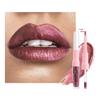 evpct Dark Wine Red Metallic Glitter Lip Liner and Lipstick Combo Lip Gloss Stain Set Makeup for Women Long Lasting Waterproof 24, Mauve Plum Frosted Metallic Shimmer Glossy iridescent Liquid Lipstick view 1
