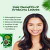 Mavid Natural Ambunu Leaves 50g Pack | African Herbal Treatment for Hair Care & Growth | Pure Conditioner and Shampoo | Soften & Detangles | Traditional Scalp Repair view 4