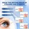 Lash and Brow Serum With 15 Plant Extracts for Longer LashesEyelash and Eyebrow Growth Serum For Thicker and Fuller Lashes view 4