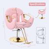 Barber Chair, Styling Chair for Hair Stylist, Hydraulic Barber Chair Height Adjustable, 360 Swivel, Beauty Salon Spa Equipment, Multi-Function Salon Chair Equipmen,Pink view 2