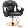 Black Barber Chair, Styling Chair for Hair Stylist, Hydraulic Barber Chair Height Adjustable, 360 Swivel, Beauty Salon Spa Equipment, Multi-Function Salon Chair Equipmen,Black view 3