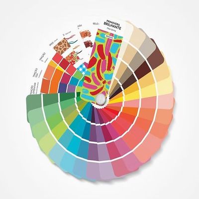 Bilingual Clear/Bright Spring Palette Color Fan by Resolva Meu Look, Personalized Color Guide for Cost Saving, Smart Shopping, Outfit & Wardrobe Planning; Primavera Brilhante/Invierno Brillante