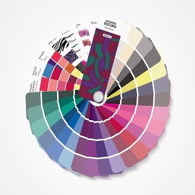 Bilingual Deep Winter Palette Color Fan by Resolva Meu Look, Personalized Color Guide for Cost Saving, Smart Shopping, Outfit & Wardrobe Planning; Invierno Oscuro/Inverno Escuro