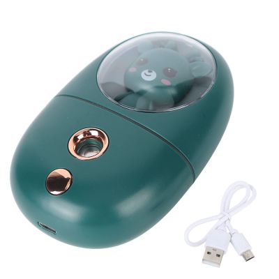 Cute Animal Facial Mist Sprayer with Ultrasonic Vibration Technology, USB Rechargeable Mini Eye Face Humidifier for Travelling 35ml 500mah, Clean Steam and Silent (Green)
