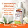 Cocoa Butter Massage Lotion for Stretch Marks, Keeps Skin Soft - 250ml (Buy 2 Quantity Get 1 Quantity Free) view 2