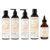 Afrocenchix Full Hair Care Set - Sulphate Free Shampoo, Silicone Free Conditioner, Natural Moisturing Cream, Natural Scalp Essential Oil, Moisutre Locking Jojoba Oil view 1
