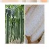 2pcs Bath loofah Sponge, exfoliating Body Scrub, Lace Design Bath loofah, Made of Environmentally Friendly Natural Egyptian loofah Cotton with Soft Sponge Balls view 4