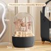 Anylady Makeup Brush Holder 360 Rotating, [Upgrade & with Cover] Makeup Brush Organizer for Vanity Countertop Bathroom (Black) view 2