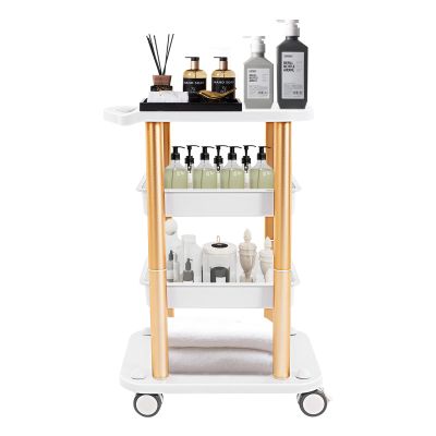 4-Tier Salon Rolling Cart Beauty Machine Facial Tray Trolley Stand for Storing Equipment and Tools Movable Storage Trolley with Wheels for Beauty Hair Salon Spa Home 15''19''32''