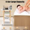 4-Tier Salon Rolling Cart Beauty Machine Facial Tray Trolley Stand for Storing Equipment and Tools Movable Storage Trolley with Wheels for Beauty Hair Salon Spa Home 15''19''32'' view 2
