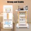 4-Tier Salon Rolling Cart Beauty Machine Facial Tray Trolley Stand for Storing Equipment and Tools Movable Storage Trolley with Wheels for Beauty Hair Salon Spa Home 15''19''32'' view 3