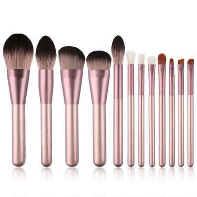 12 Brushes Set Blush and Grooming Brushes Beauty Tools Loose Powder Set