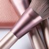 12 Brushes Set Blush and Grooming Brushes Beauty Tools Loose Powder Set view 4