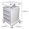 Beauty Salon Rolling Trolley Cart, 3-Layer Rolling Trays Beauty Hair Salon Instrument Tray Rolling Cart with Universal Wheel Strong Bearing Capacity for Beauty, Barber Shop, Spa Center Home Etc view 2