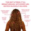 Goddess Maintenance Company Biotech Blowout Leave-In Restorative Hair Mask, Heat Protectant for Hair & Strengthening Treatment for Frizz-Free Volume, Repairs & Shields Up to 450 F, 1.7 Fl Oz view 3