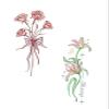 10pcs Romantic Fingertip Tattoo Sticker, Colorful Arm Collarbone Waterproof Sweat Tattoo Sticker(WS-H056) view 1