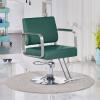 Barber Chairs for Barbershop Adjustable Height 360 Rotation Leather Hair Chair with Disc Base and Stainless Steel Footrest for Use in Barbershops and Beauty Salons(Green) view 1