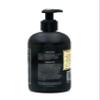 Alpha Aura Rosemary Shampoo for Hair Growth, Infused with Biotin for Hair loss and Hair thinning (12 Fl Oz) view 3