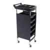 JLYNOWPT Salon Cart, Lighter and Strong Material Salon Trolley with Handle and Rolling Wheels,Hair Cart with 5 Drawers and 2 Hair Dryer Holder Side Tray for Barbershop Beauty Spa view 1