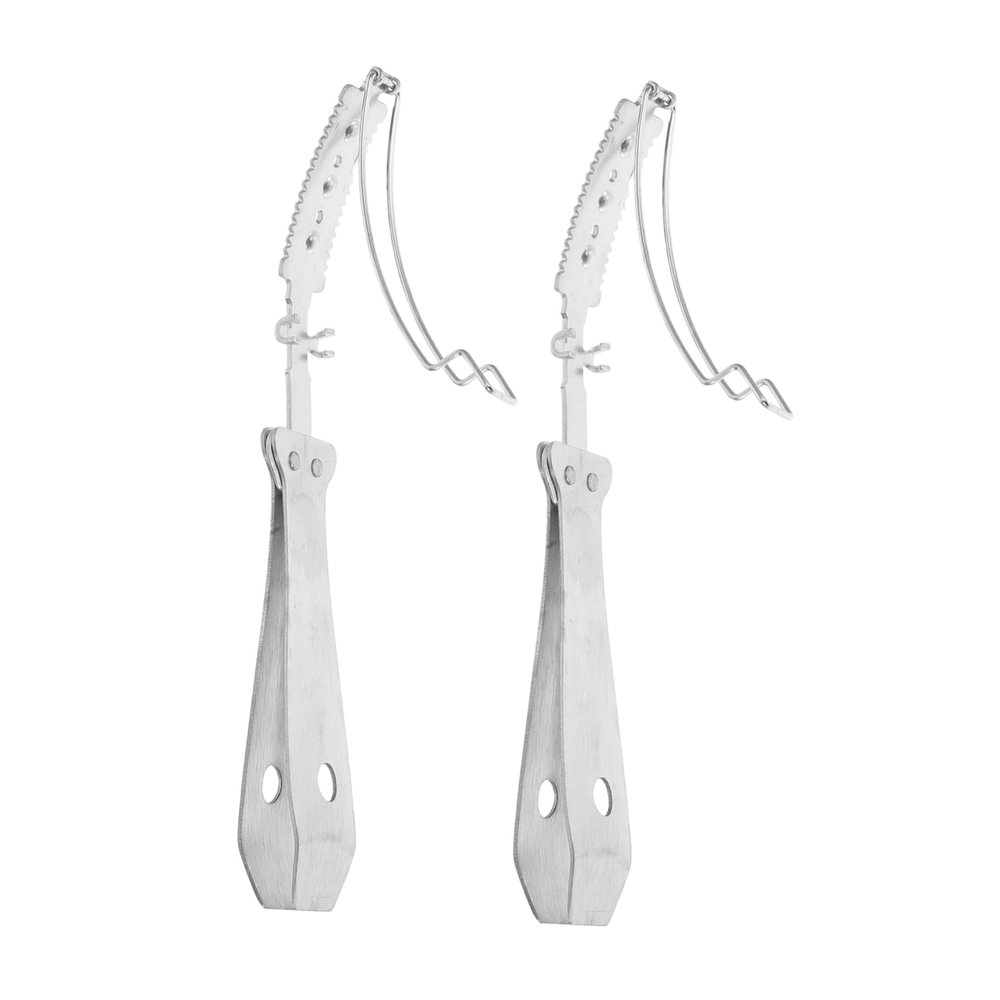 DECOMELODY 2pcs Stainless Steel Pig Hair Removal Tool Multi-use Scraper for Pig Goose and Fish Scales Portable Hair Shaving Device Easy to Use Kitchen Helper