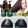 3-in-1 Hair Growth Shampoo and Conditioner Set with Black Castor Oil Amla Black Seed Oil and Biotin for Thicker Stronger and Healthier Hair 10.56 fl oz Each view 3