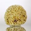 Natural Sea Sponge, Florida Rock Island Wool, 4.5-5 Inches, Small Size for Face and Body, Zero Waste, 100% Natural, Fully Biodegradable. view 1