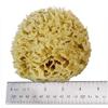 Natural Sea Sponge, Florida Rock Island Wool, 4.5-5 Inches, Small Size for Face and Body, Zero Waste, 100% Natural, Fully Biodegradable. view 2