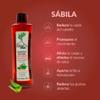 Arbol Verde Hair Growth Shampoo - 16.91 fl oz Herbal Plant Extracts Natural Routine Shampoo for Enhanced Hair Care - Anticada Natural con Plantas Naturales view 4