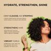 African Pride Moisture Miracle Aloe & Coconut Water Shampoo | Hydrating & Moisturizing Shampoo | Color Safe | 12 oz view 2