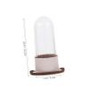 FOMIYES Makeup Sponge Organizer Brush Holder Makeup Brush Cleaner Drying Rack for Women Compact Portable Beauty Tools Storage Box view 2