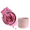 Pink Blusher, 3D Rose Makeup Flower Petal Blush for Cheeks, Natural Glowing Redness Long Lasting Buildable Color, Contouring and Brightening, Makeup Powder blusher as Festival Gifts(#03) view 1