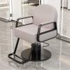 Barber Chairs Professional with Curved Armrests Liftable and Swivel Hair Salon Chair with Black Stainless Steel Round Base and Footrest for Barbershop Hair Salon Spa(Beige) view 1