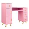 Vanity Desk with Drawer and Storage Cabinets Manicure Table with Wrist Rest Cushion for Spa Beauty Salon Bedroom Pink CL593 view 1