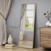 Mirror view 1