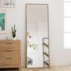 Mirror view 3