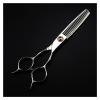 6 Inch Hairdressing, Hair Thinning, Barber, Dental, Hairdresser Hair Cutting Shears view 1