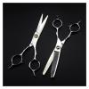 6 Inch Hairdressing, Hair Thinning, Barber, Dental, Hairdresser Hair Cutting Shears view 4